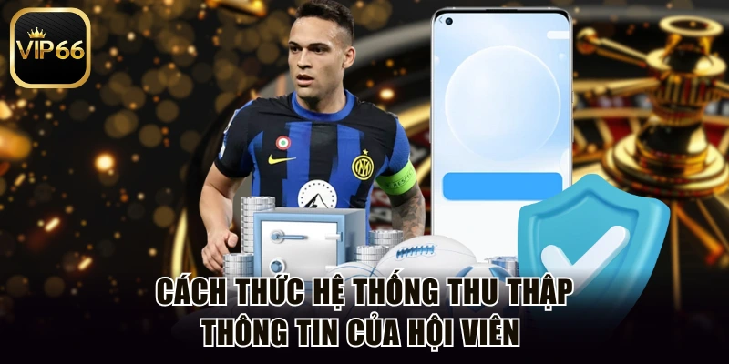 Cách thức hệ thống thu thập thông tin của hội viên