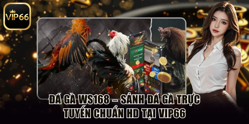 Đá gà WS168